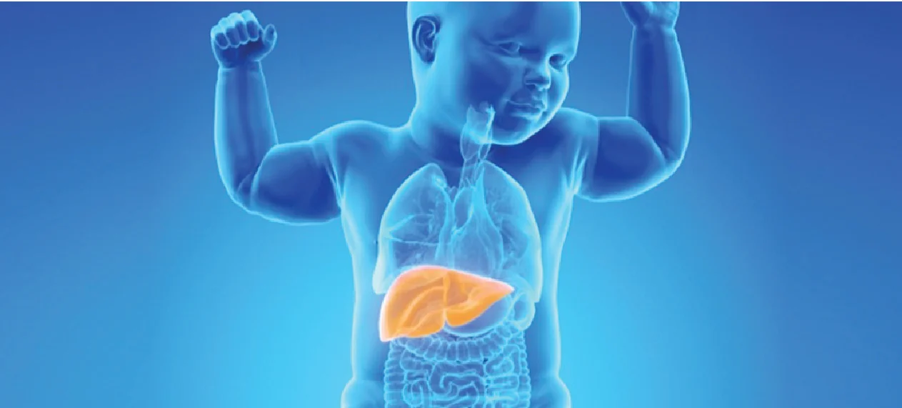 Liver Cancer in children and its treatment